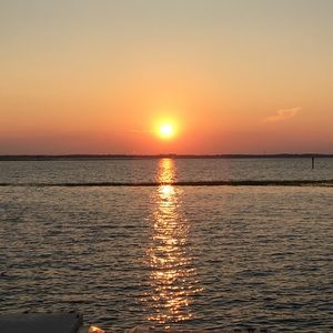 Meet your Posher, Suzanne